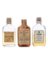 3 x Blended Scotch Whisky Miniature 