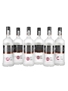 Russian Standard  6 x 70cl / 38%