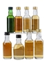 Assorted Highland Single Malt Whisky  8 x 5cl / 40%