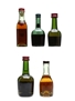 Cognac Miniatures Courvoisier, Bisquit, Larsen 5 x 3cl - 5cl / 40%