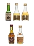 Cognac, Calvados & Brandy Salignac, Martell, Anee 5 x 3cl - 5cl