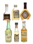 Brandy From Around The World Metaxa, Osborne, Tanuda 6 x 3cl - 5cl