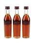 Hennessy Cuvee Japanese Market 3 x 5cl / 40%