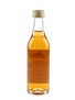 Hine 1960 Grande Champagne Cognac 5cl / 40%