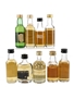 Assorted Single Malt Scotch Whisky  9 x 5cl