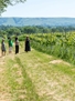 Artelium Private Winery Tour & 5 Course Supper For Six People 