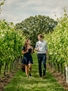 Gusbourne Private Estate Tour, Library Tasting and Lunch For Up To Ten People 