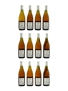 2003 Meursault Clos Du Domaine Henri Darnat - Reserve Francois Labet 12 x 75cl / 13%