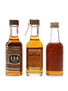 Assorted Kentucky Straight Bourbon & Rye Bottled 1980s - Old Grand-dad, Wild Turkey 3 x 5cl