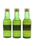 Glenfarclas 13 Year Old, Imperial 14 Year Old & Glen Scotia 16 Year Old Bottled 1993 - Cadenhead's 3 x 5cl