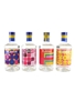 Flavar Schnapps Blueberry & Lemon, Lemon Pie, Strawberry & Lime and Raspberry & Liquorice 4 x 70cl / 25%