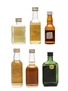 Blended Scotch Whisky Miniatures  6 x 3cl - 5cl