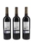 2015 Marques De Murrieta Gran Reserva Rioja Finca Ygay 3 x 75cl / 14%