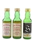 Springbank 12 Year Old  3 x 5cl