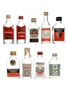 Assorted Vodka Vladivar, Wolfschmidt, Cossack 9 x 5cl