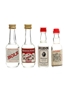 Maraschino Liqueur  4 x 5cl