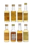 Assorted Blended Scotch Whisky  8 x 5cl