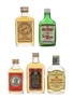 Assorted Blended Scotch Whisky  5 x 5cl