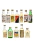 Assorted Blended Scotch Whisky  12 x 5cl