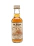 Glenlivet 1985 9 Year Old Van Wees 5cl / 43%