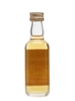 Glen Garioch 1984  5cl / 40%