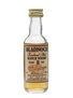 Bladnoch 8 Year Old  5cl / 40%