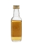 Caol Ila 1972 Gordon & MacPhail 5cl / 40%