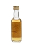 Caol Ila 1981 Gordon & MacPhail 5cl / 40%