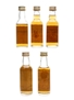 Bowmore 10 Year Old & 12 Year Old  5 x 5cl