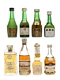 Assorted Cognac Hardy, Exshaw, Hine, Salignac 8 x 5cl