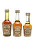 Hennessy VS & Bras Arme  3 x 5cl