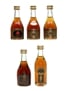 Brugerolle Cognac  5 x 5cl