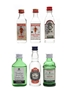 Assorted Gin Gordon's, Tanqueray, Plymouth, Beefeater, Bombay 6 x 5cl