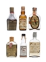 6 x Blended Scotch Whisky Miniature 