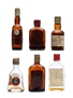 6 x Blended Scotch Whisky Miniature 