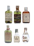 6 x Blended Scotch Whisky Miniature 