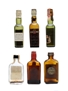 6 x Blended Scotch Whisky Miniature 