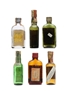 6 x Blended Scotch Whisky Miniature 