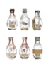 6 x Blended Scotch Whisky Miniature 