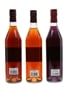 Briottet Liqueurs Violette, Prune & Figue 3 x 70cl