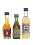 Martell  3 x 3cl-5cl