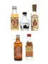 Mezcal & Tequila Sauza, Silla, El Senorio, Lajita, Crendain 5 x 4cl-5cl