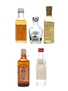 Mezcal & Tequila Sauza, Silla, El Senorio, Lajita, Crendain 5 x 4cl-5cl