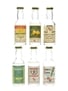 Fratelli Rossi Spirits & Liqueurs  6 x 2.5cl