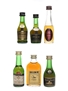 Assorted Cognac Bisquit, Camus, Denis Mounie, Hine, Marnier Lapostolle 6 x 3cl-5cl