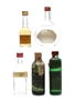 Assorted Spirits Ginebra, Schladerer, Plymouth 5 x 3cl-5cl