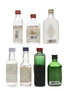 Assorted Gin Beefeater, Gilbey's, Harrods, Plymouth, Schlichte, White Satin 7 x 4.7cl-5cl