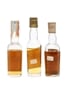 3 x Blended Scotch Whisky Miniature 