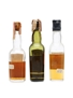 3 x Blended Scotch Whisky Miniature 