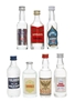 Vodkas Of The World Aniusk, Borzoi, Finnland, Wyborowa, Rushkin 7 x 5cl